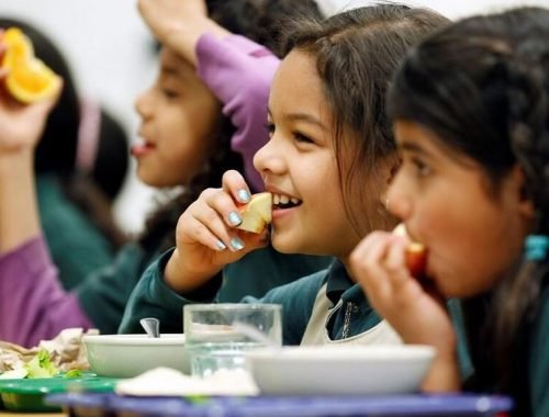 https://www.livekindly.co/meatless-mondays-all-new-york-city-schools/