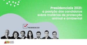 avp presidenciais