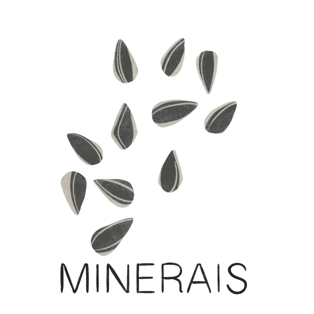 minerais