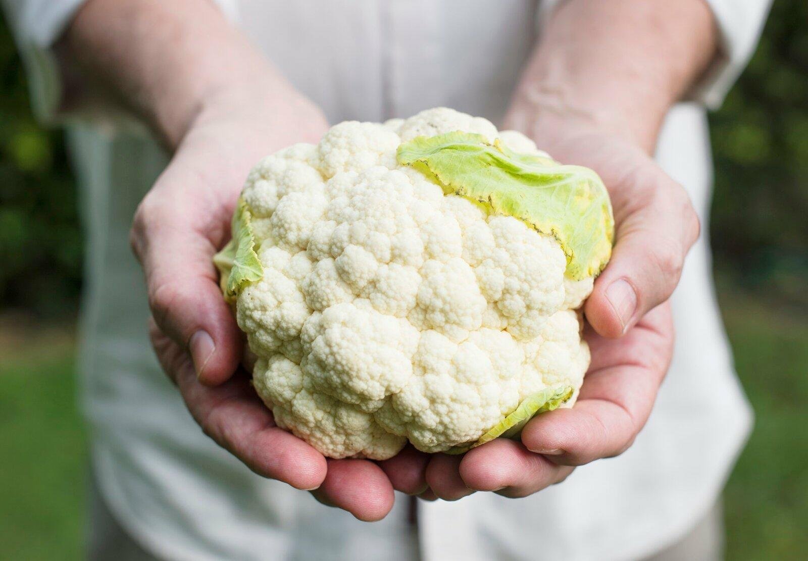 Pessoas que Seguem uma Dieta Vegetariana têm 14% Menos Risco de ter Cancro