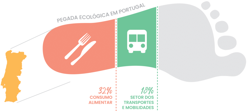 Será que estamos a viver a sexta extinção em massa do planeta Terra?