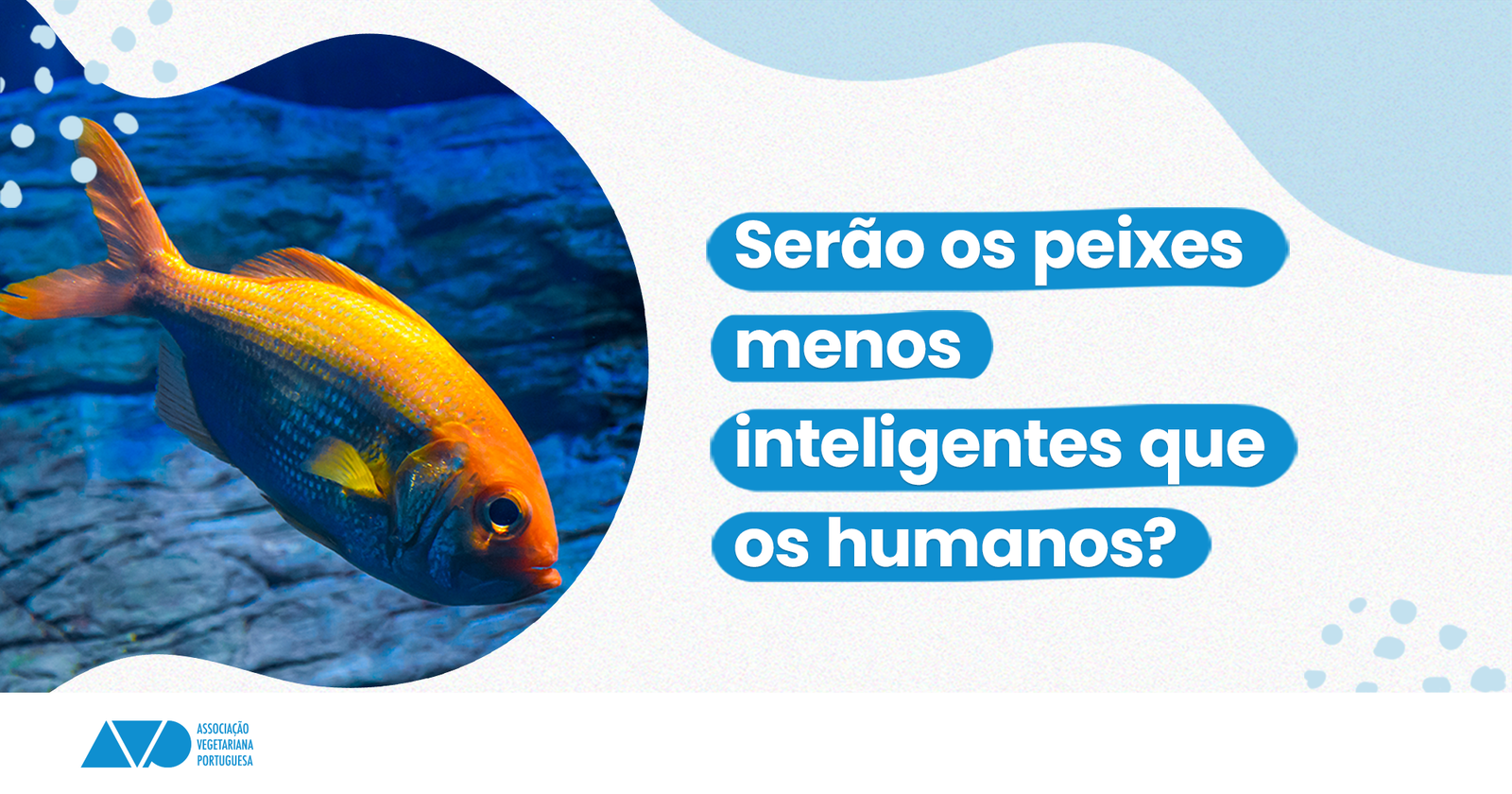 serao os peixes menos inteligentes que os humanos