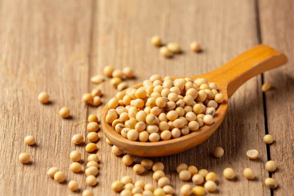 soybean seeds wooden floor hemp sacks food nutrition concept