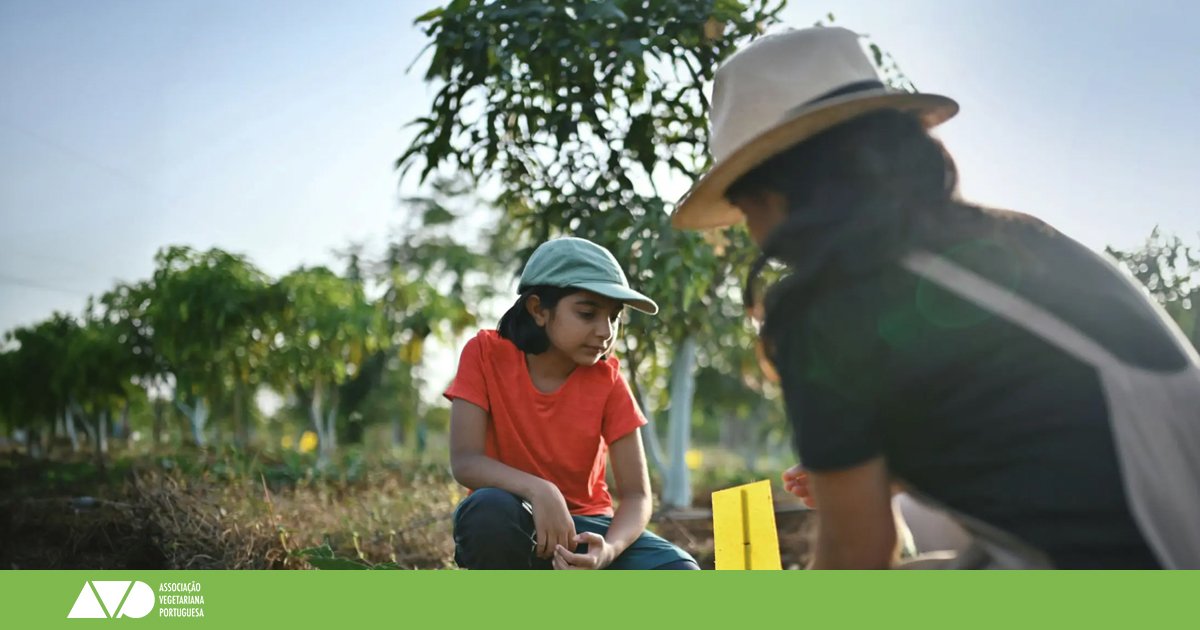 Portugal na COP28 Desafios da Crise Climática, Segurança Alimentar e o Papel da Proteína Vegetal